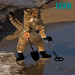 LEXD