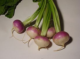 275px-Brassica_rapa_turnip.jpg